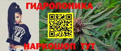 spice Кулебаки