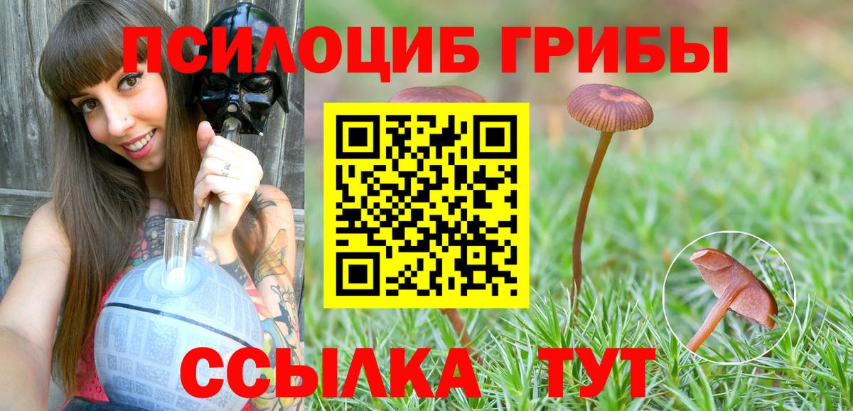 Псилоцибиновые грибы MAGIC MUSHROOMS Гусиноозёрск