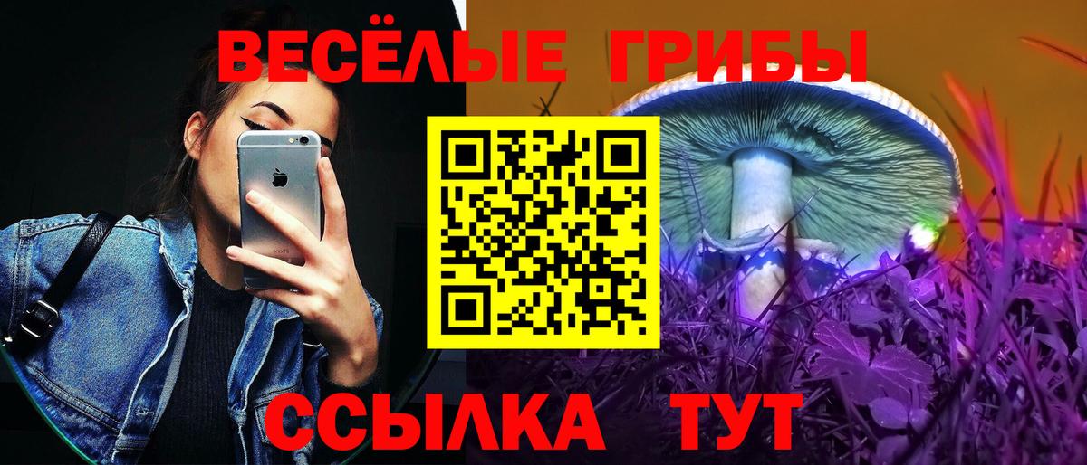 Гусиноозёрск  Галлюциногенные грибы Psilocybe  Псилоцибиновые грибы ЛСД  Вход с VPN 